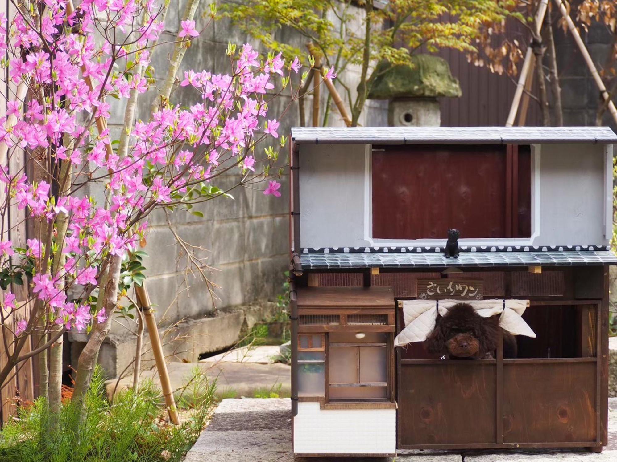 古民家の宿宰嘉庵 Traditionaljapanisehotel Saikaan Майдзуру Экстерьер фото