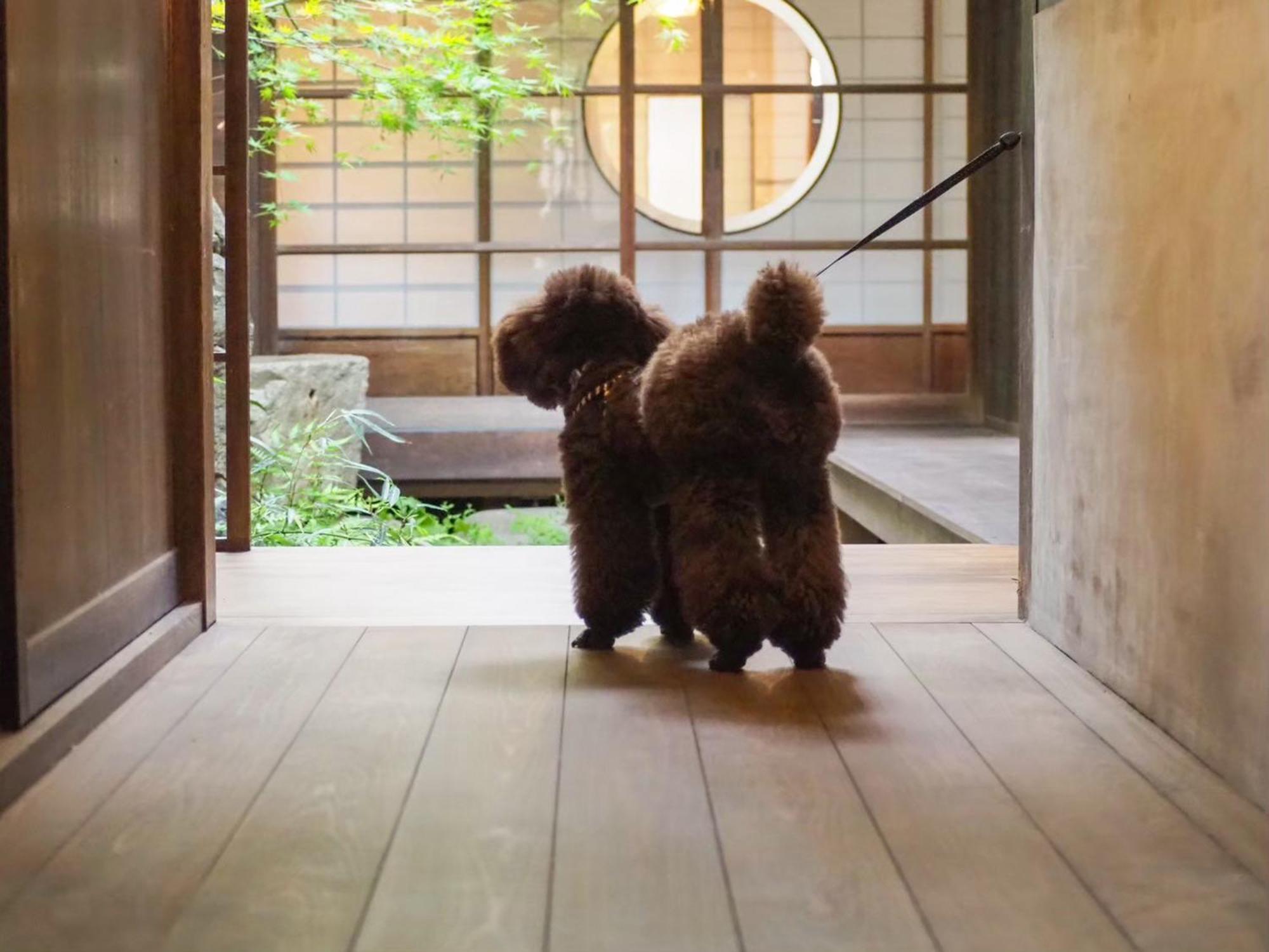 古民家の宿宰嘉庵 Traditionaljapanisehotel Saikaan Майдзуру Экстерьер фото
