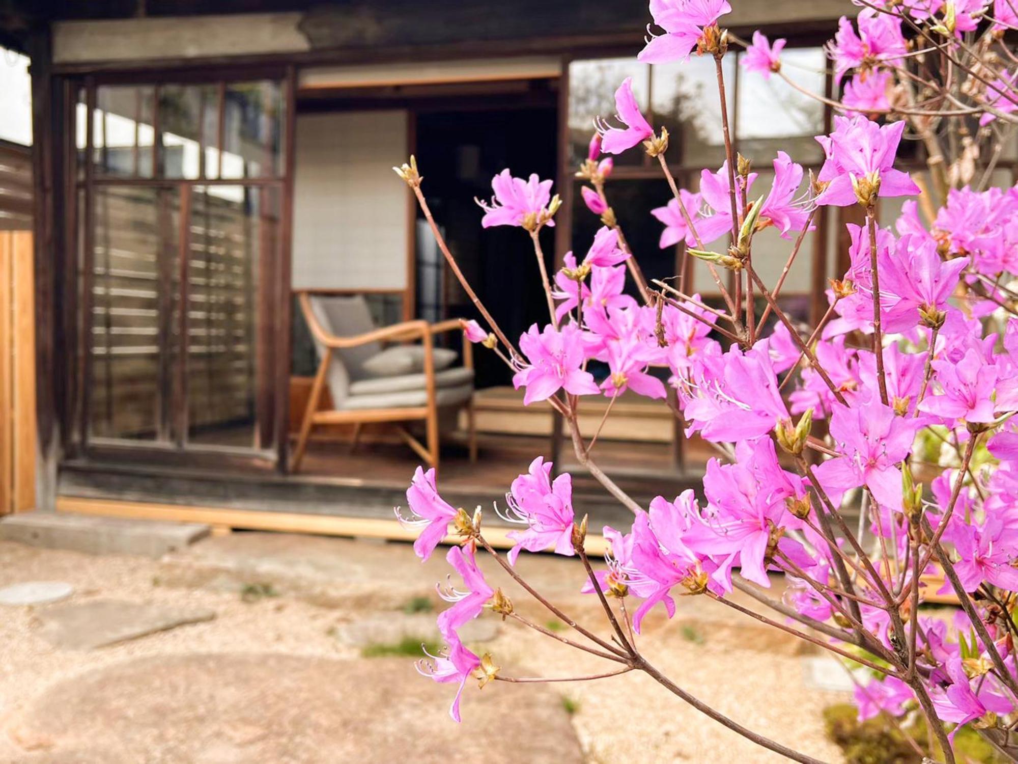 古民家の宿宰嘉庵 Traditionaljapanisehotel Saikaan Майдзуру Экстерьер фото